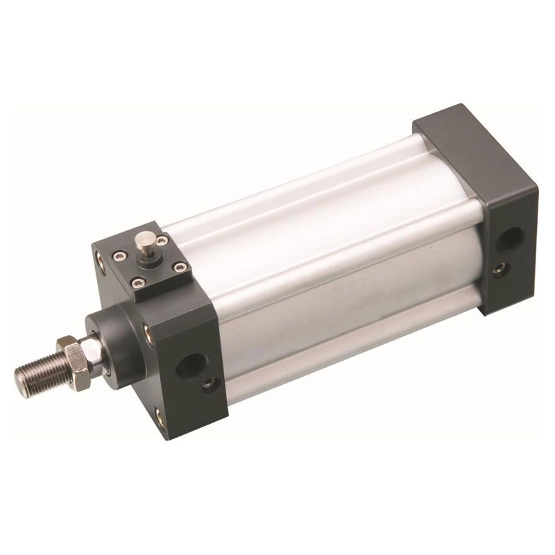 Standard Pneumatic Cylinder CA
