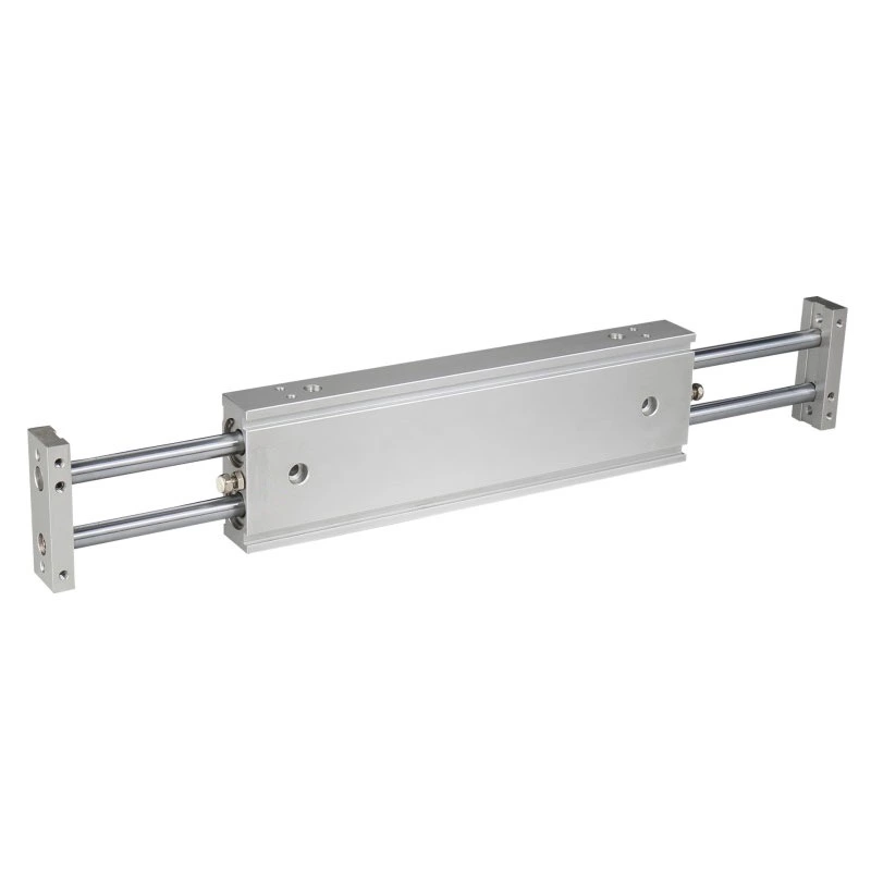 Double Rod Air Cylinder CXSW