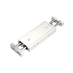 Double Rod Air Cylinder CXSW