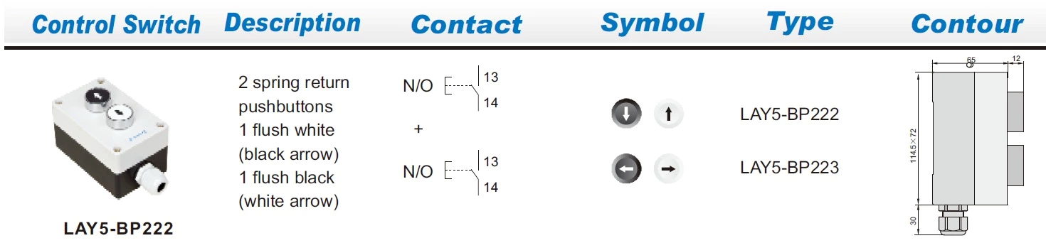 LAY5-BP223 Plastic Remote Panel Control Enclosure